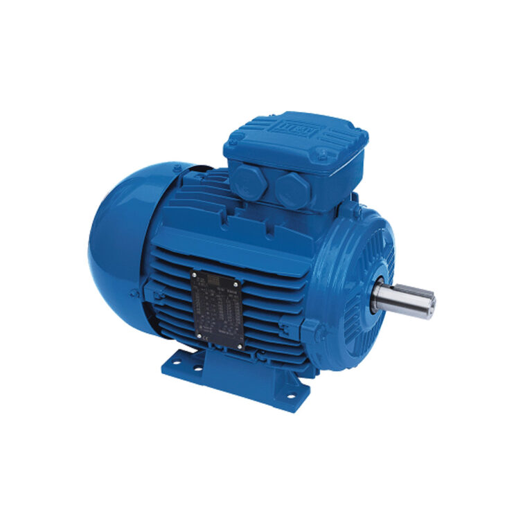 Electric Motor